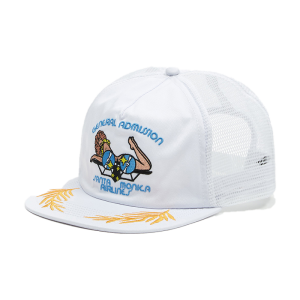 5 panel